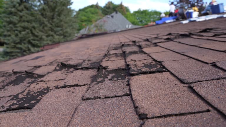 Best Slate Roofing  in Millvale, PA