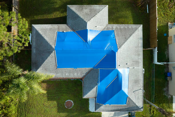 Best Roof Waterproofing  in Millvale, PA